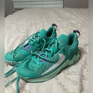Youth Nike Giannis Immortality 2 size 5Y